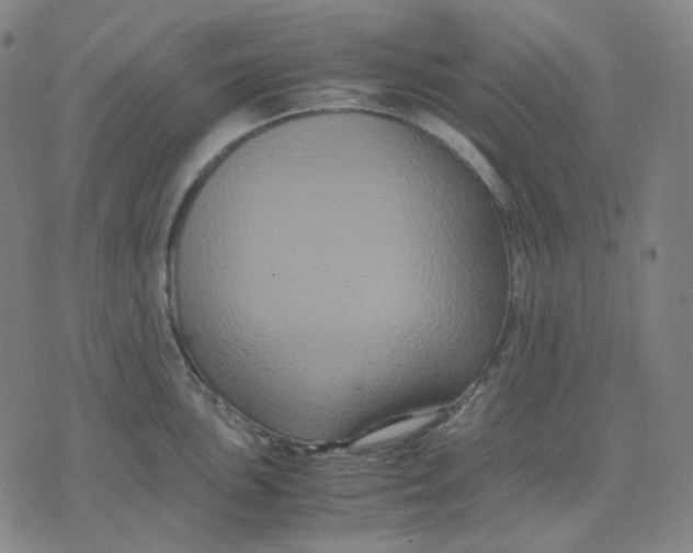 X0000071791051200607211617