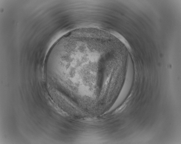 X0000071791052200607211617