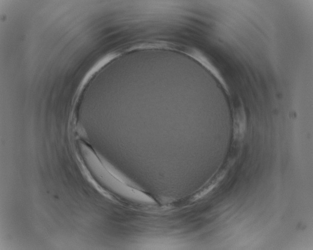 X0000071791053200607211617