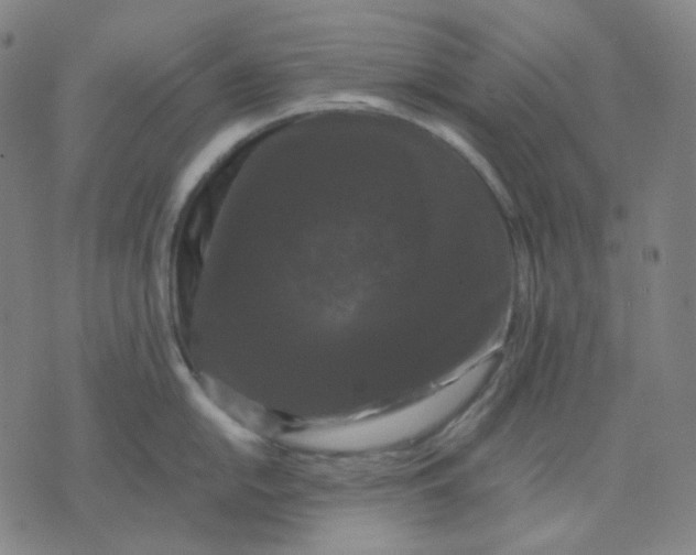 X0000071791054200607211617