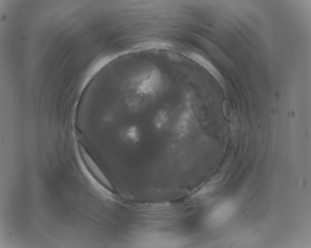 X0000071791055200607211617