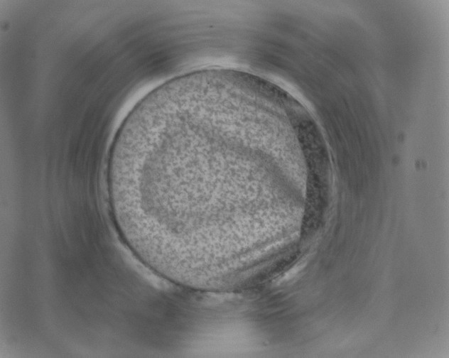 X0000071791056200607211617