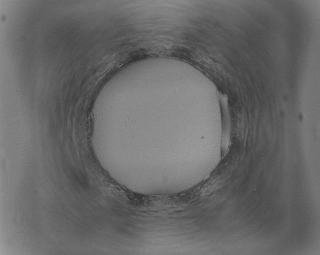 X0000071791057200607211616