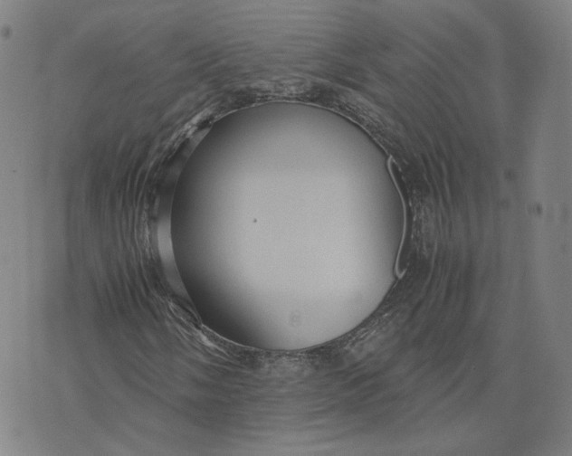 X0000071791058200607211616