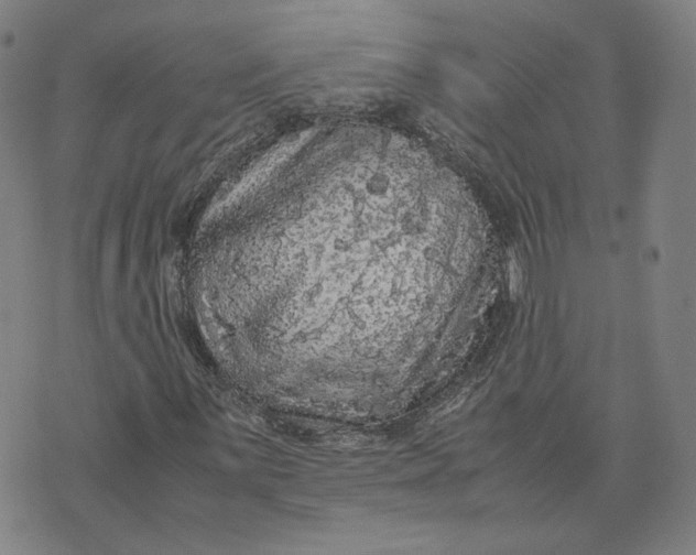 X0000071791059200607211616