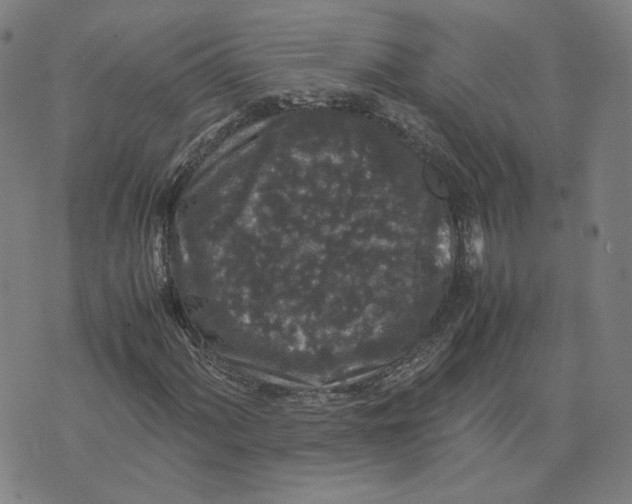 X0000071791060200607211616