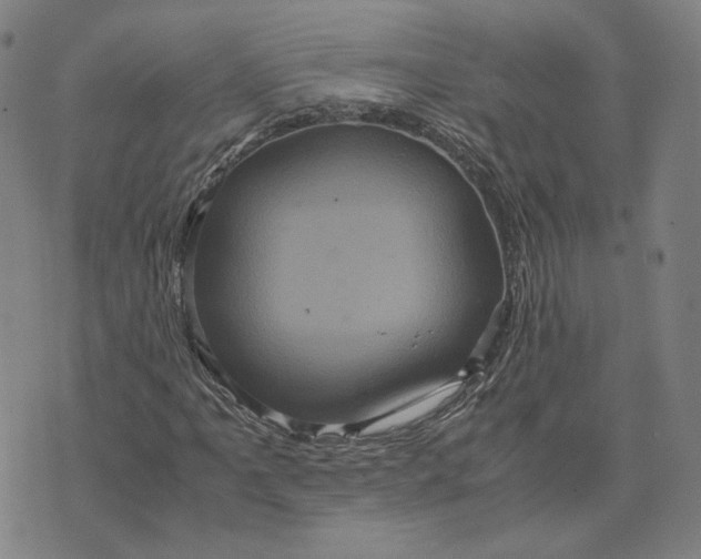 X0000071791061200607211616