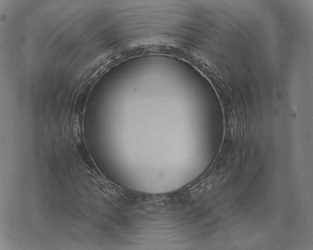 X0000071791062200607211616