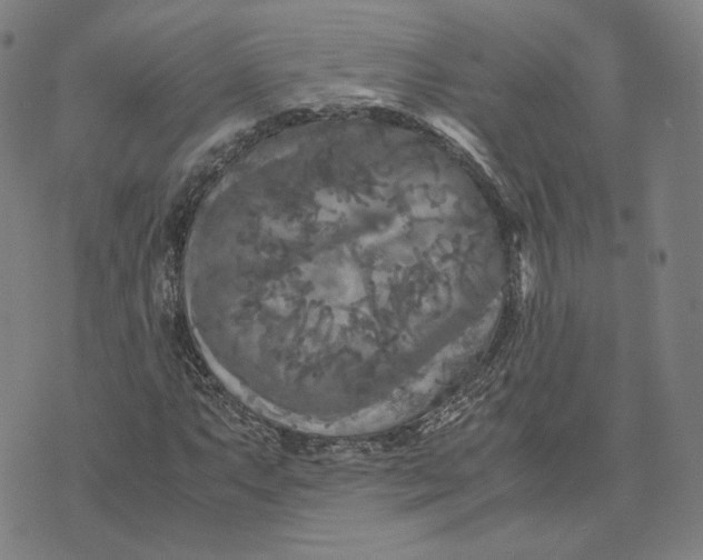 X0000071791063200607211616