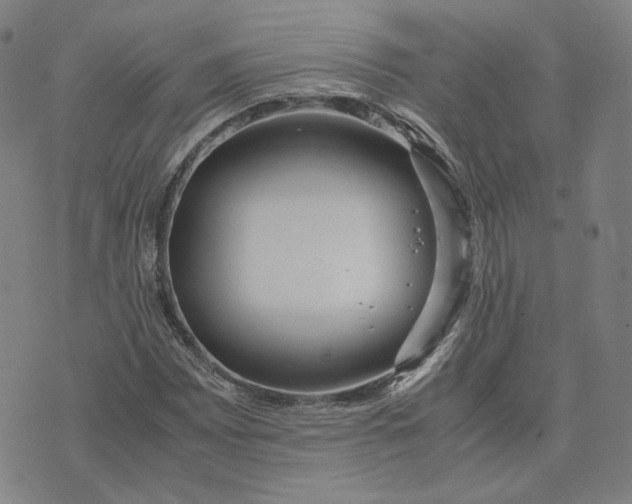 X0000071791065200607211616