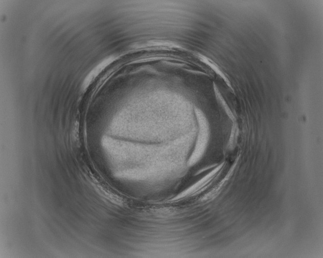 X0000071791066200607211616