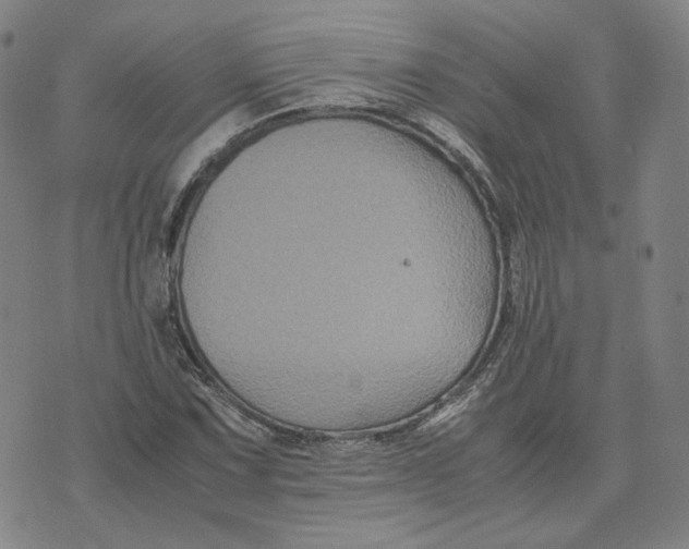 X0000071791067200607211616