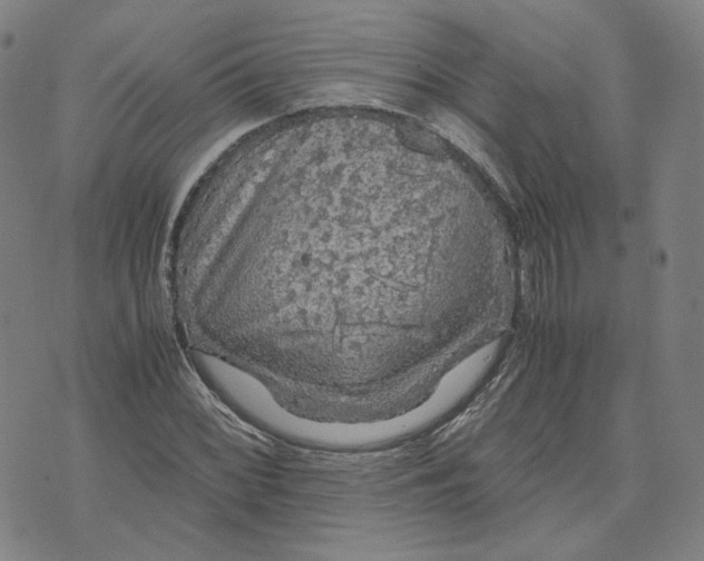 X0000071791068200607211616