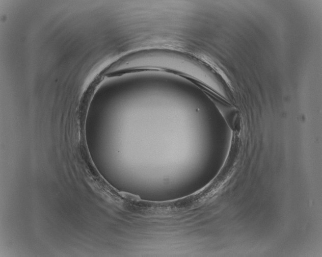 X0000071791069200607211616