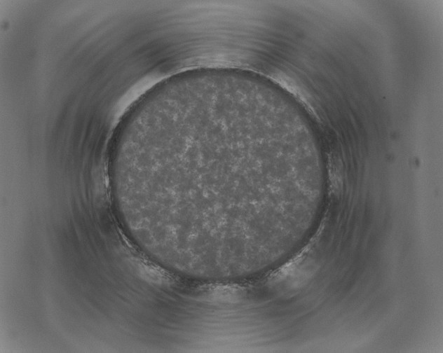 X0000071791070200607211616