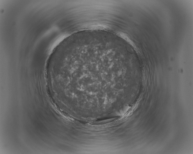 X0000071791071200607211616