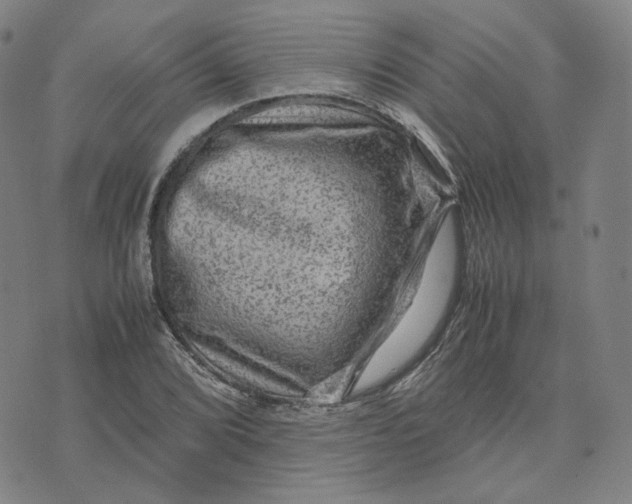 X0000071791072200607211616