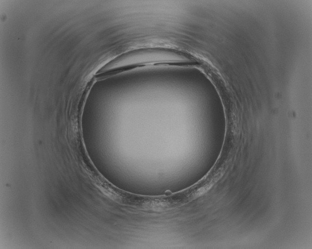 X0000071791073200607211616