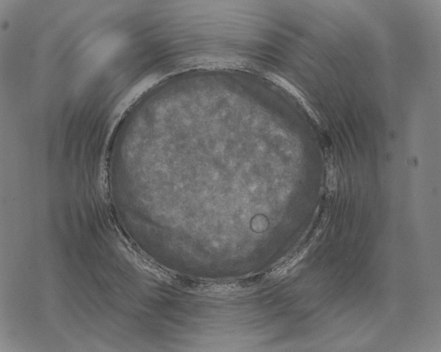 X0000071791074200607211616