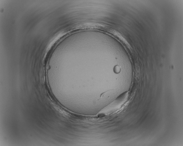 X0000071791075200607211616