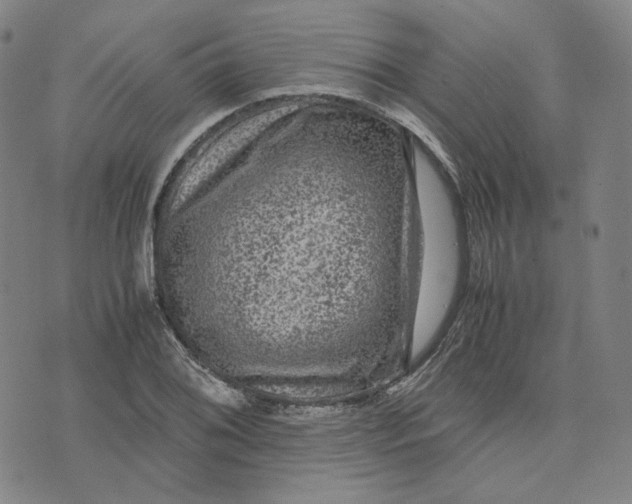 X0000071791076200607211616