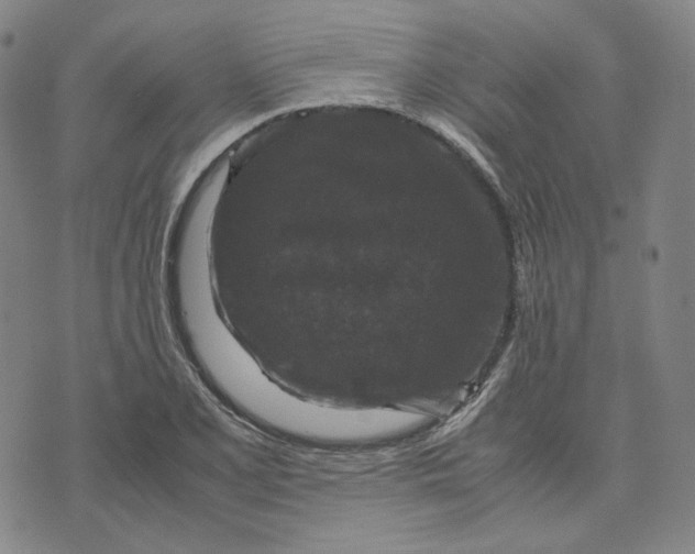 X0000071791077200607211616