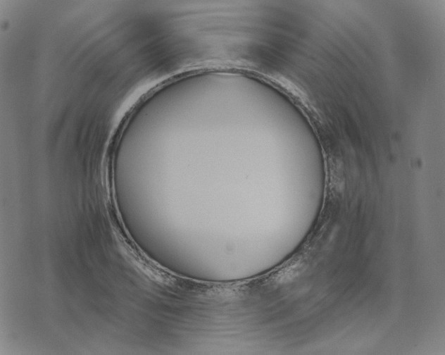 X0000071791078200607211616