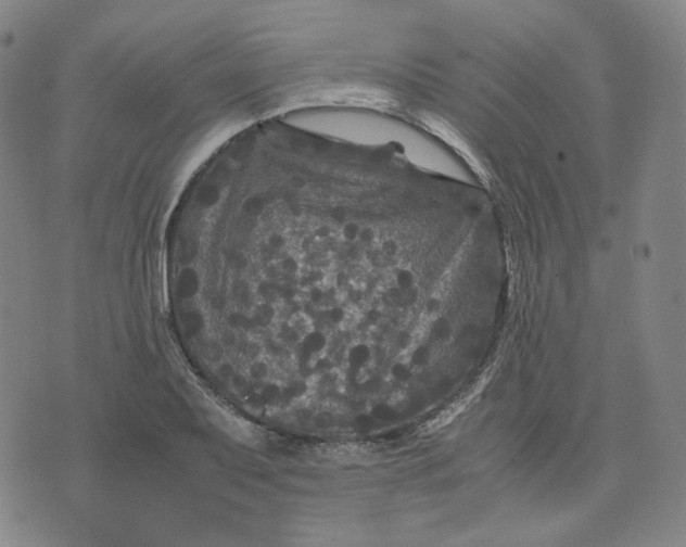 X0000071791079200607211616