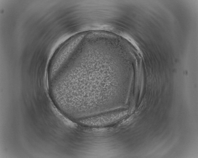 X0000071791080200607211616