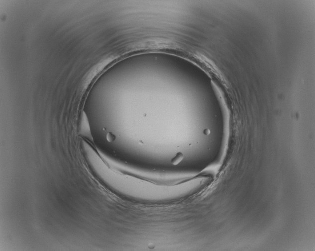 X0000071791081200607211616