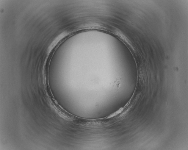 X0000071791082200607211616