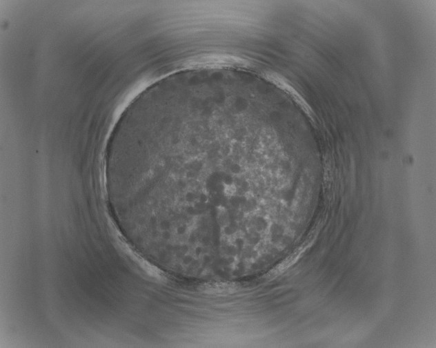 X0000071791083200607211616