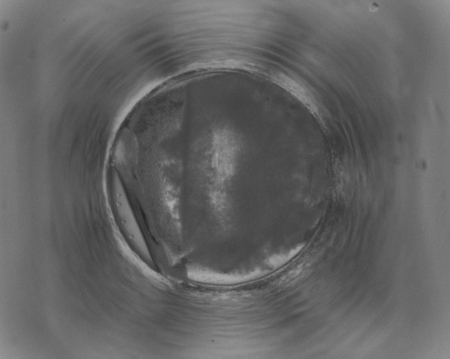 X0000071791084200607211616