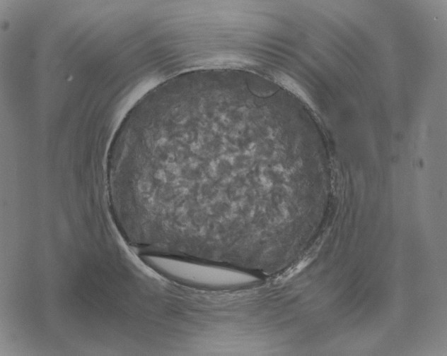 X0000071791087200607211616