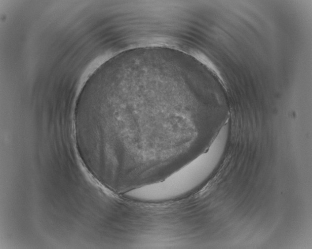 X0000071791088200607211616