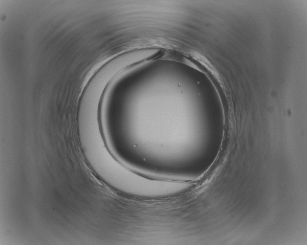 X0000071791089200607211616