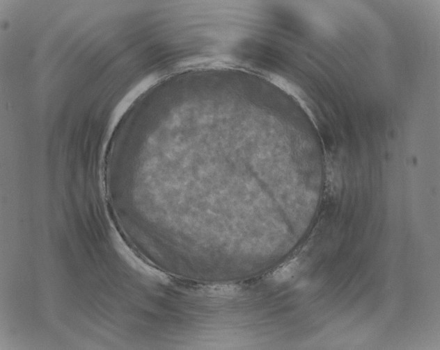 X0000071791090200607211616