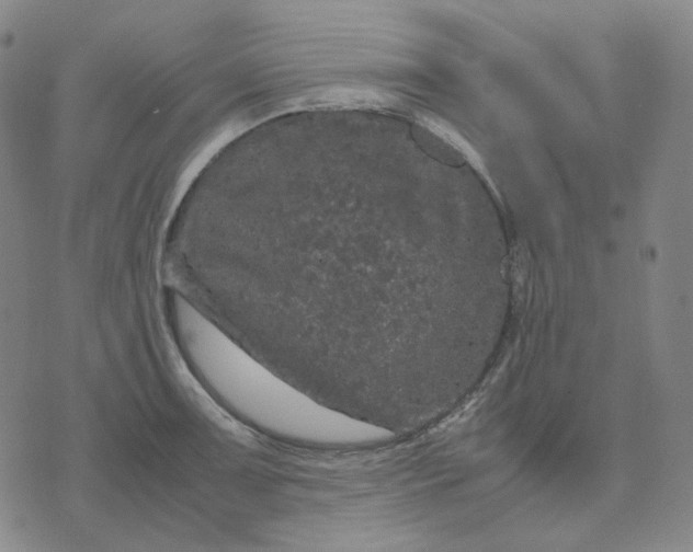 X0000071791091200607211616