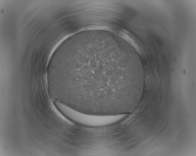 X0000071791092200607211616