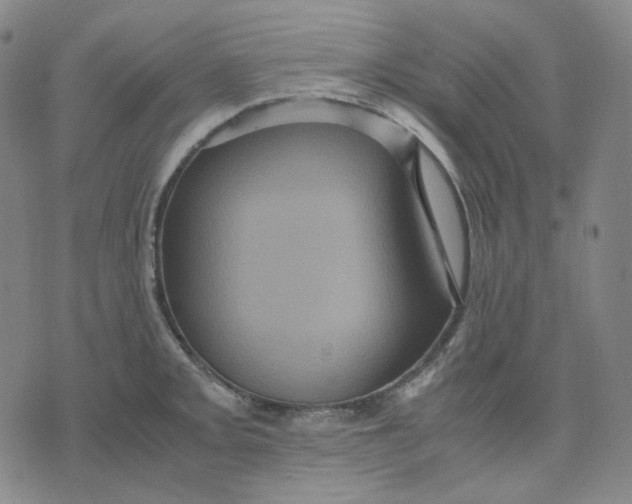 X0000071791093200607211616