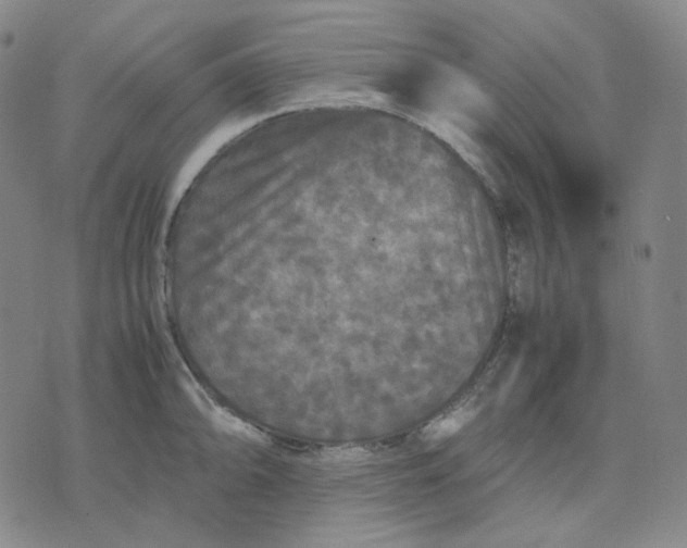 X0000071791094200607211616