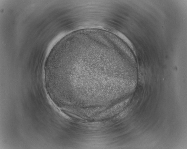 X0000071791096200607211616