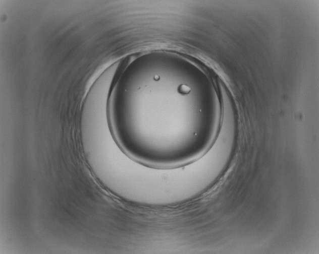 X0000071791097200607211616