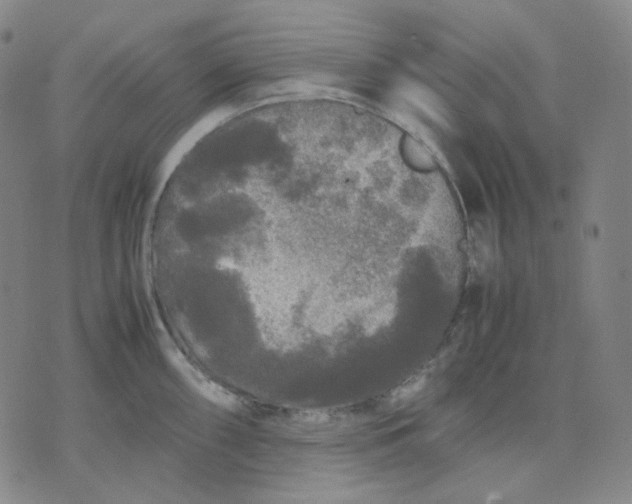 X0000071791098200607211616