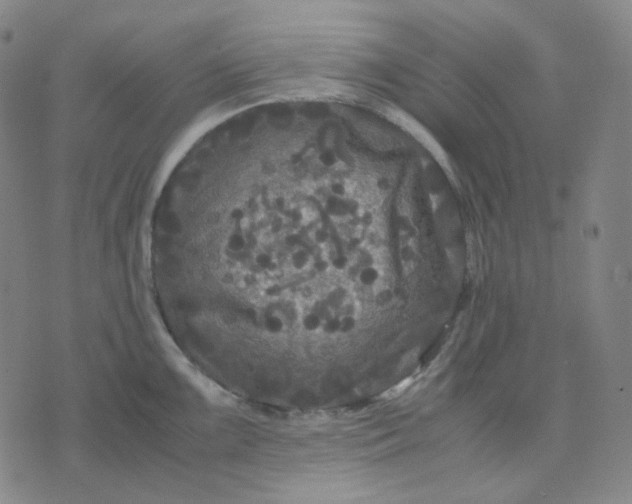 X0000071791099200607211616