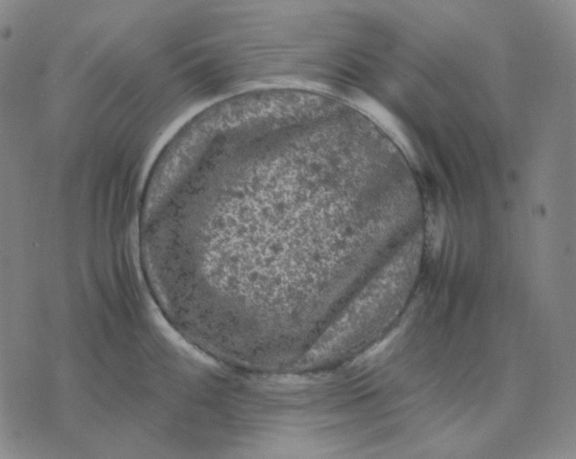 X0000071791100200607211616