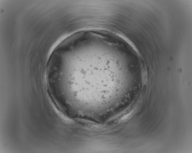 X0000071791101200607211616