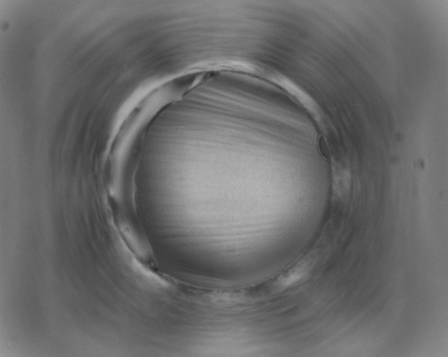 X0000071791102200607211616