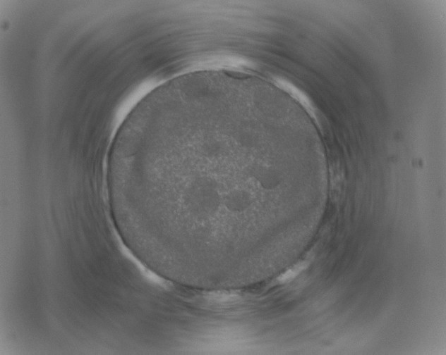 X0000071791103200607211616