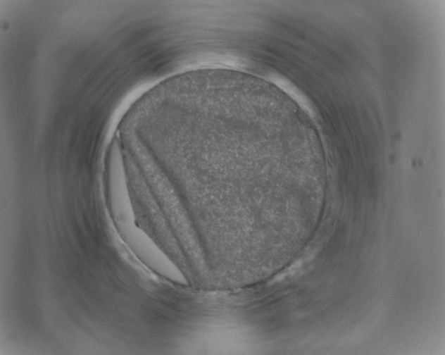 X0000071791104200607211616